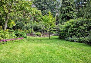 Optimiser l'expérience du jardin à Vernoux-en-Vivarais